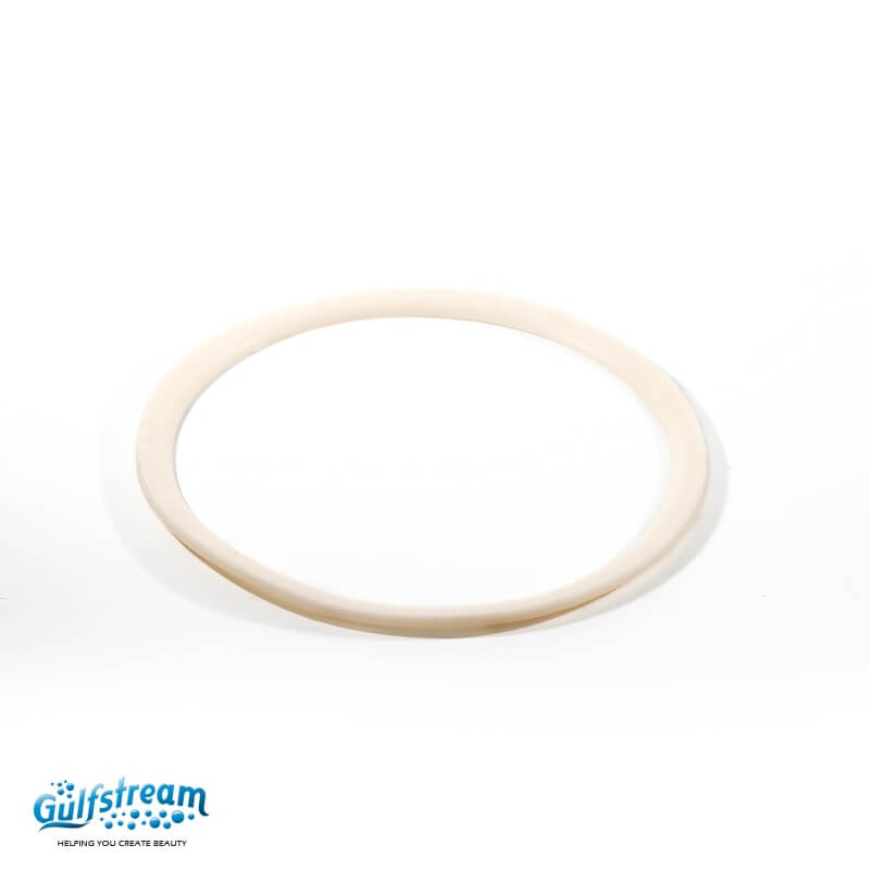 Gs3009 Clean Jet Max Gasket