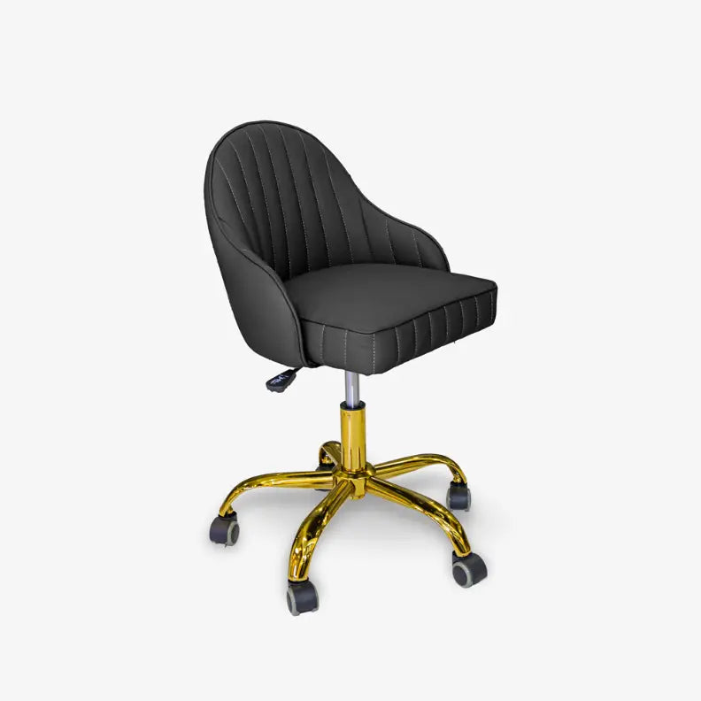 T Spa - Berwin Technician Chair