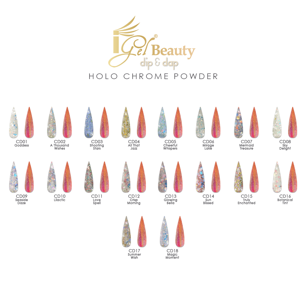 iGel - Dip & Dap Powder Holo Chrome - Professional Collection