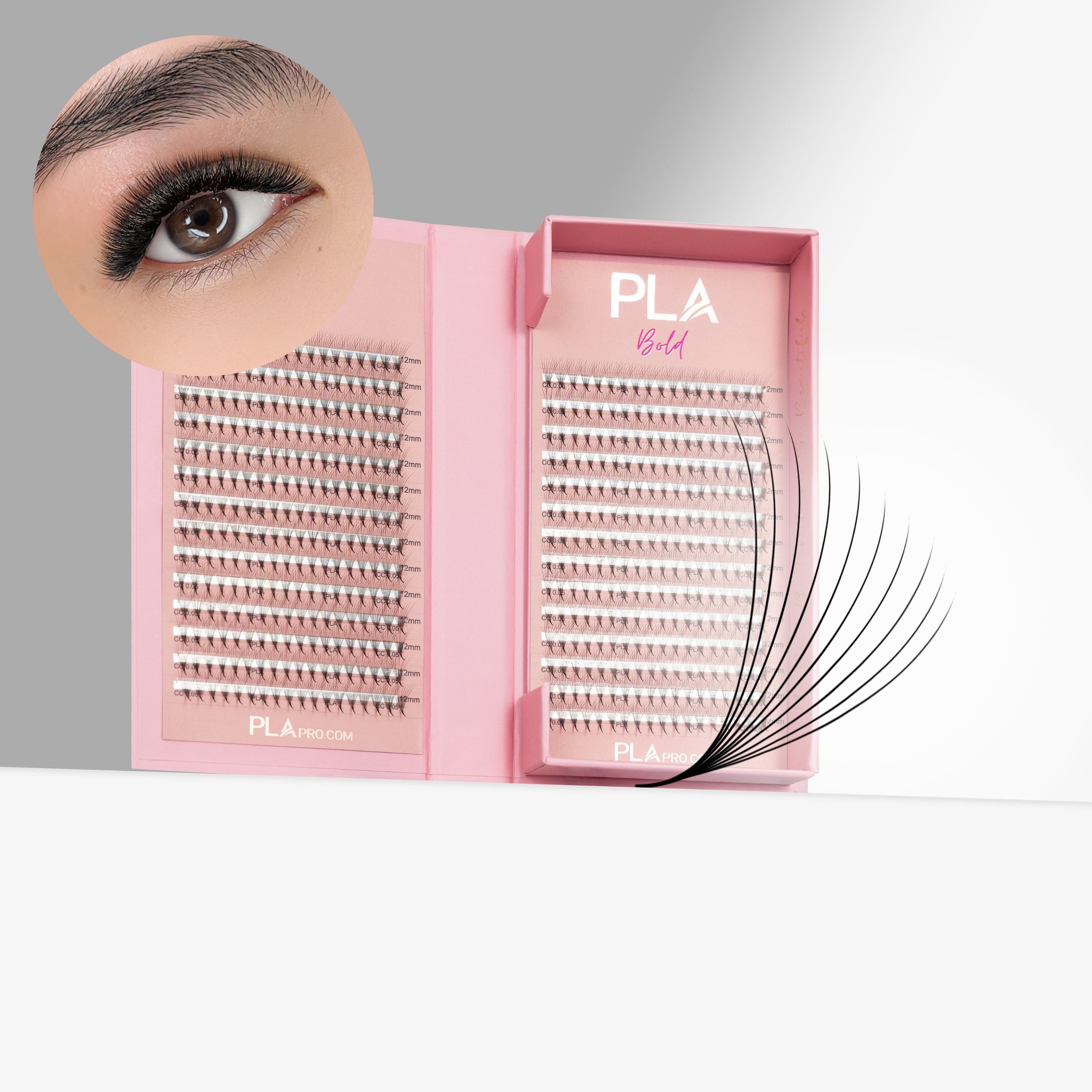 PLA - The BOLD Collection: 10D ProMade Fans