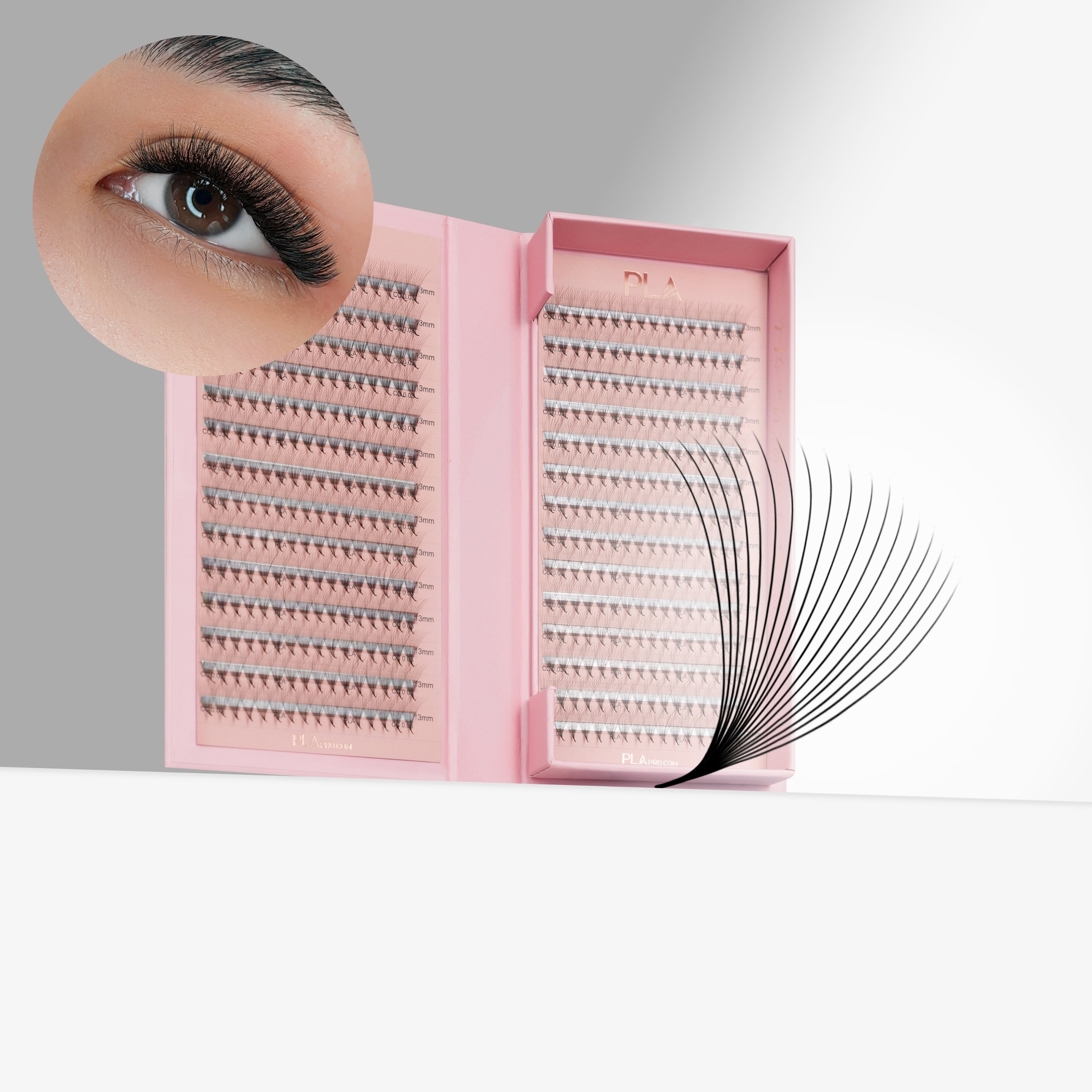 PLA - The BOLD Collection: 18D ProMade Fans
