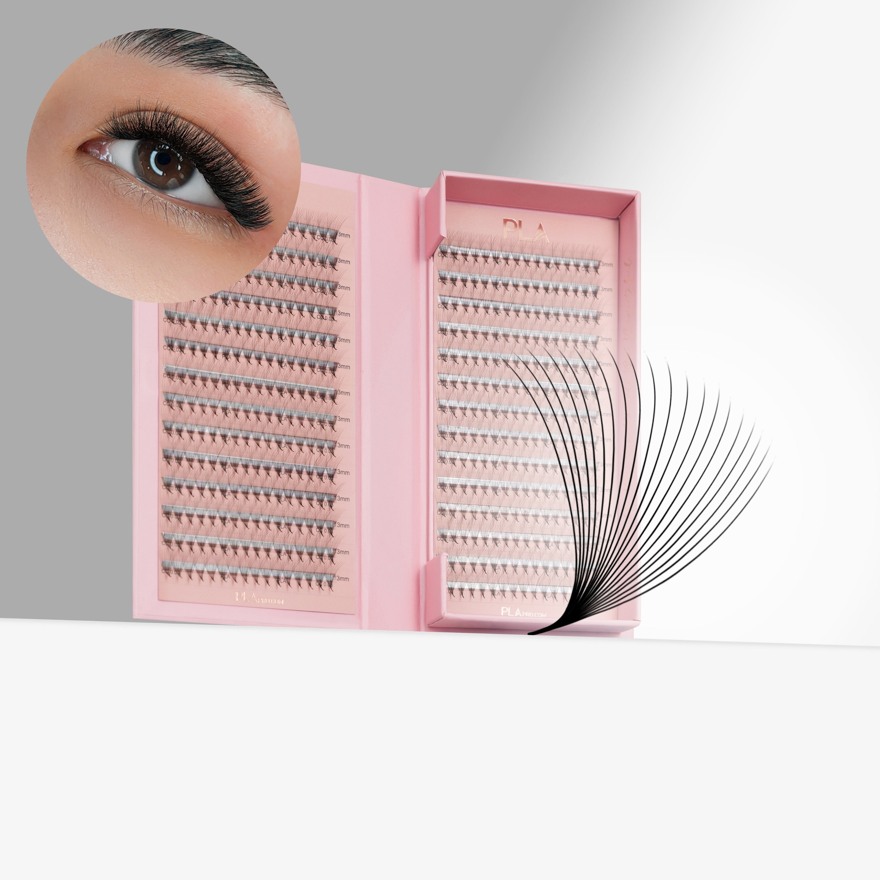 PLA - The BOLD Collection: 20D ProMade Fans