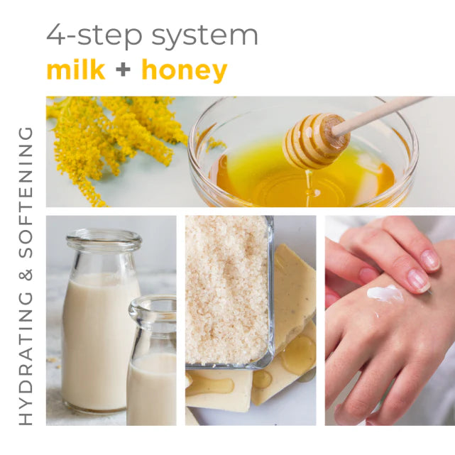 BCL -  Ultra-Moisturizing Milk + Honey with White Chocolate Sugar Scrub
