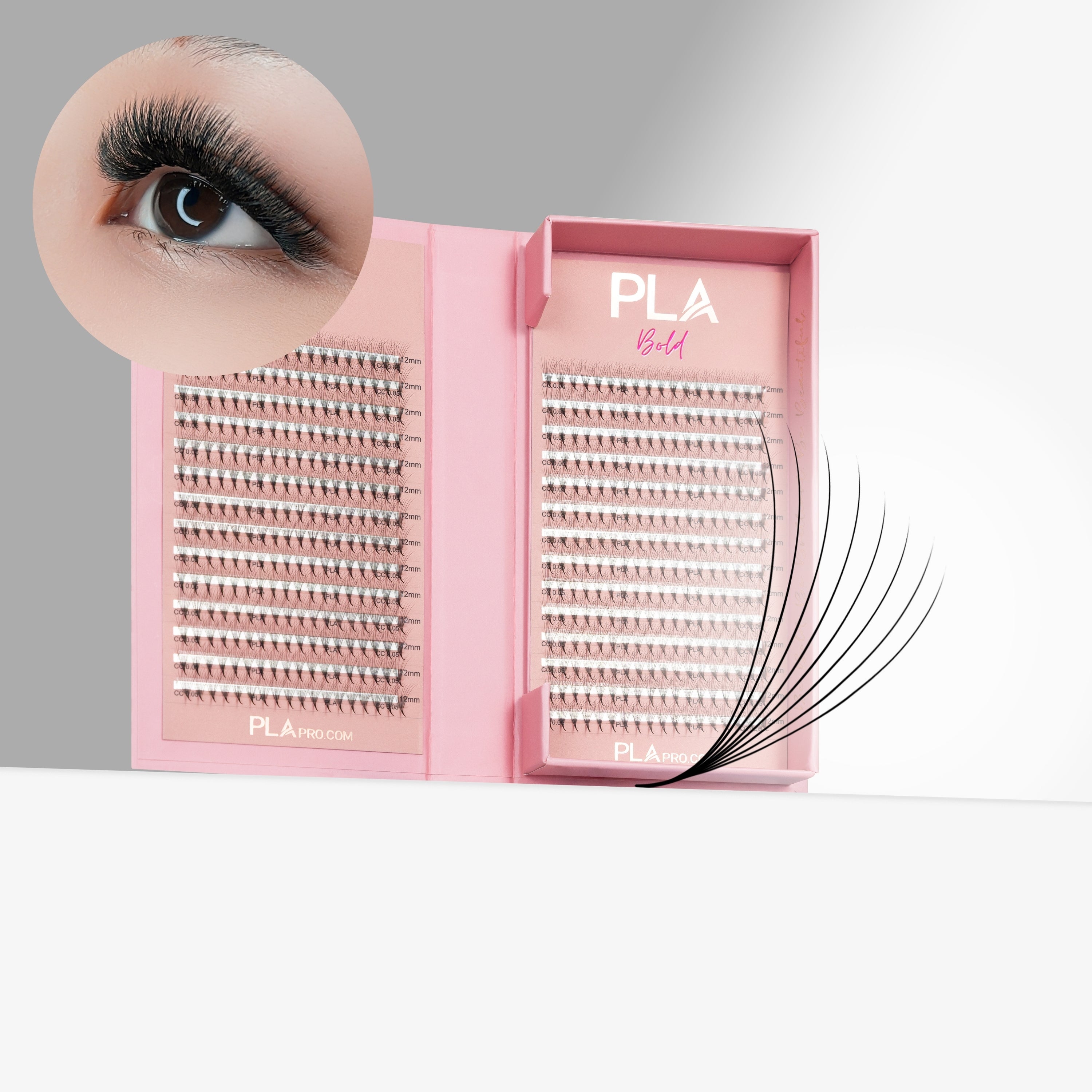 PLA - The BOLD Collection: 8D ProMade Fans