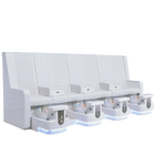 Whale Spa - Gemini Bench Spa WS1000