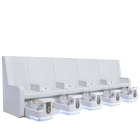 Whale Spa - Gemini Bench Spa WS1000