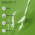 PLA Nail Lacquer Chasing Fortune (96)
