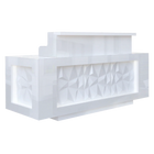 Whale Spa -  Facet LED Reception Desk