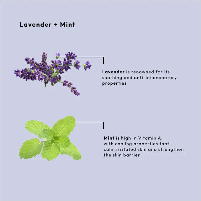 BCL -  Calming Lavender + Mint Massage Cream