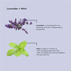 BCL -  Calming Lavender + Mint Dead Sea Salt Soak