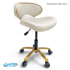 Gs9016 Gold Series Manicure Stool