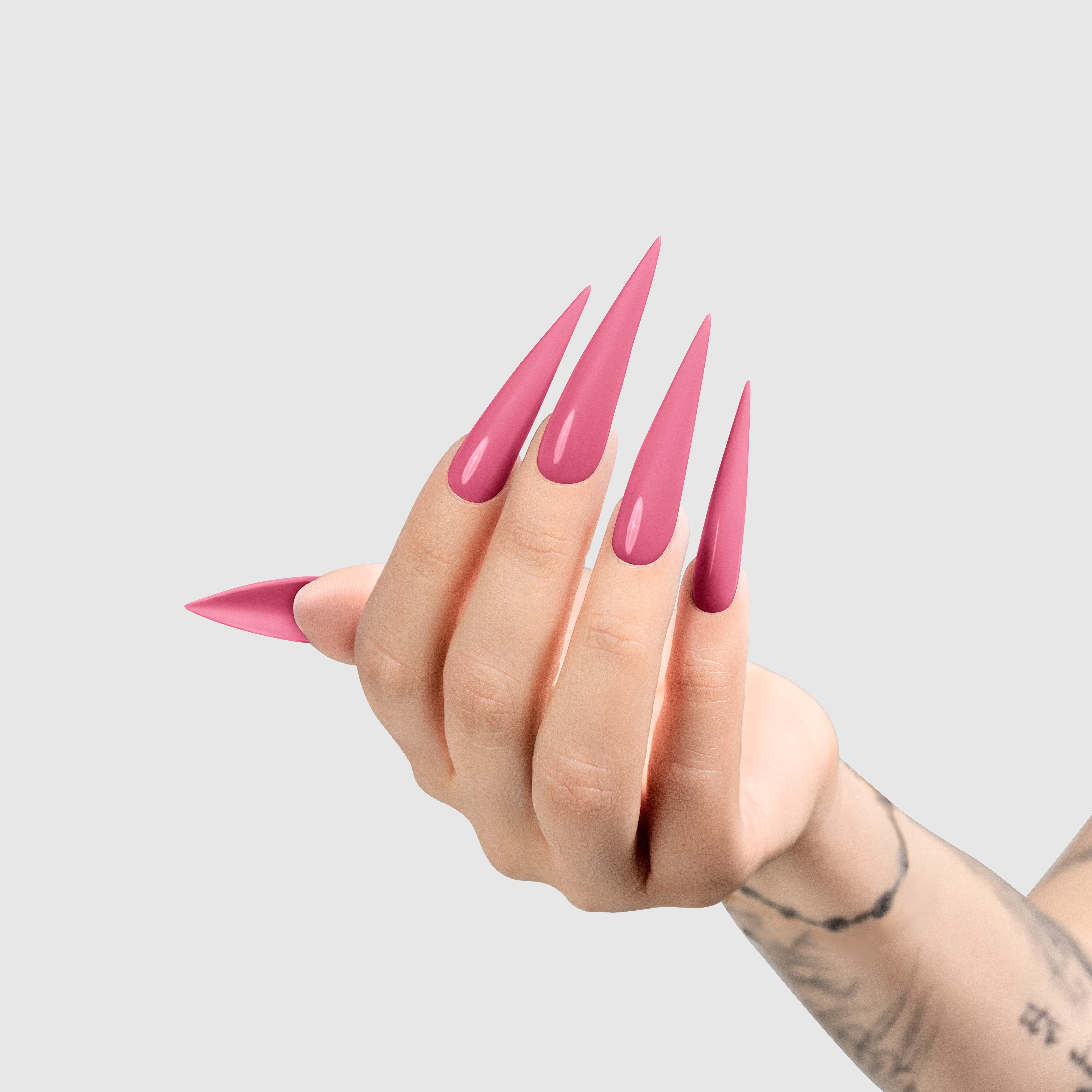 Fuschia With Benefits