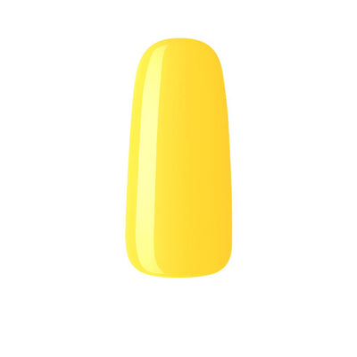 NUGenesis -  NU 95 Sunflower
