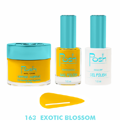 Posh - 4-in-1 Dip & Dap - #163