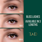 PLA TAD Beauty DIY Lash Clusters (3 Pairs)