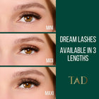 PLA TAD Beauty DIY Lash Clusters (3 Pairs)