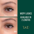 PLA TAD Beauty DIY Lash Clusters (3 Pairs)