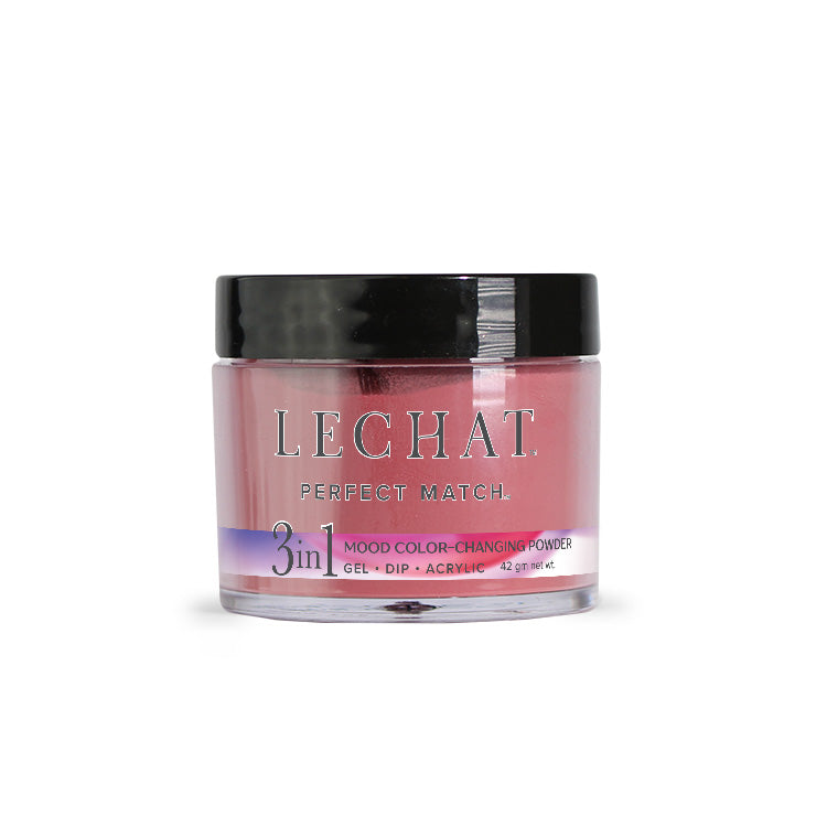LeChat - Perfect Match Mood Dip Powder - Vintage Brick - #77