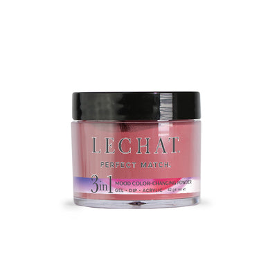 LeChat - Perfect Match Mood Dip Powder - Vintage Brick - #77