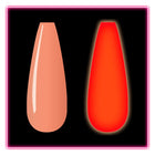 Kiara Sky -  CREAMSICLE