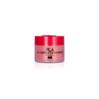 PLA 2-in-1 Dip & Acrylic Powder Ho Ho Holiday (121)